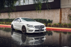 Mercedes Benz CLS550 на дисках Avant Garde M632