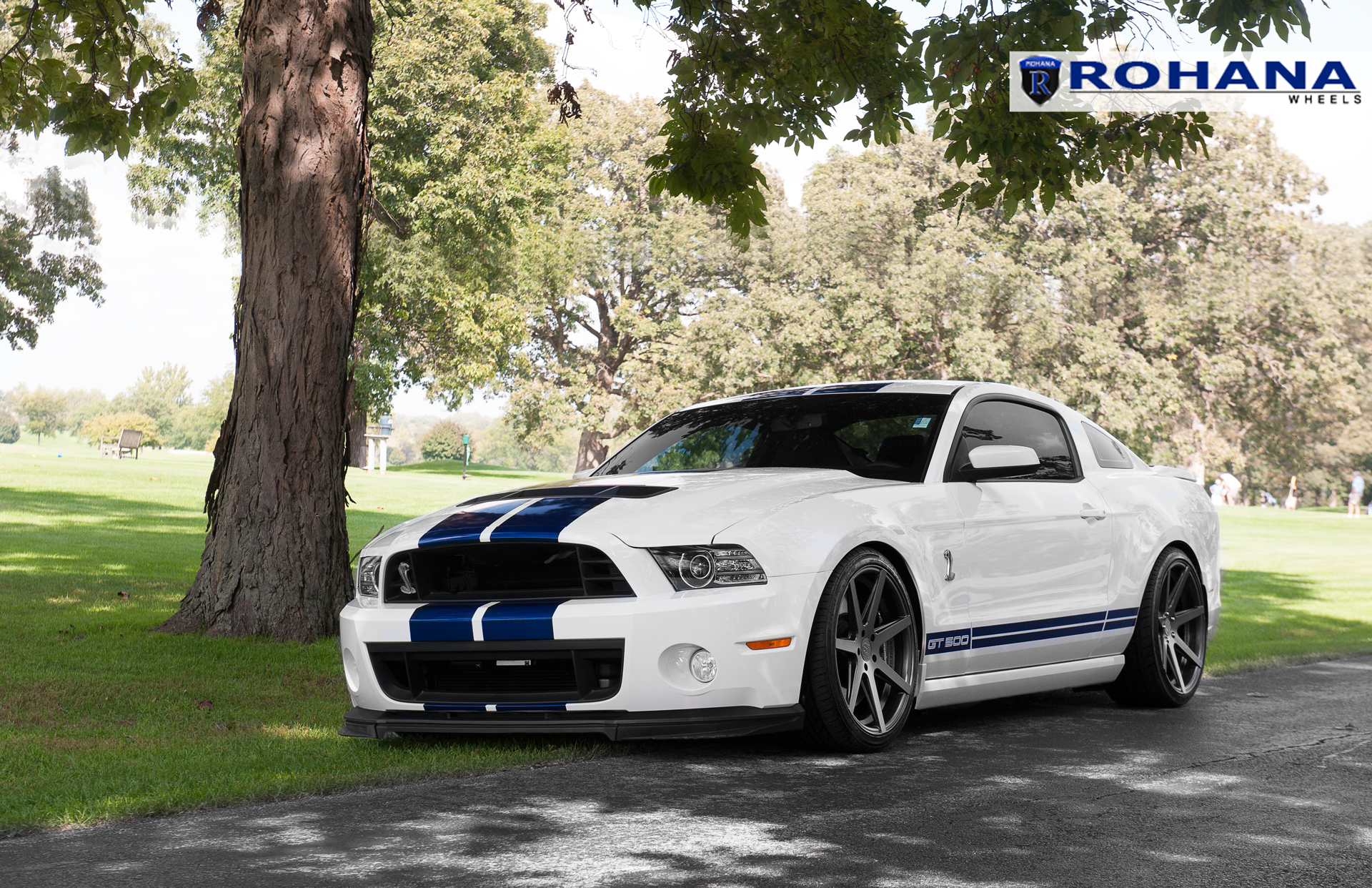 Ford Shelby gt500 диски