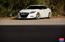 Nissan Maxima на дисках Vossen x Work VWS-3