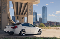 BMW 650i на дисках Ferrada FR3