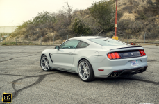 Mustang Shelby GT350 на дисках Avant Garde M632