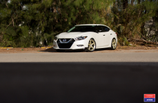 Nissan Maxima на дисках Vossen x Work VWS-3