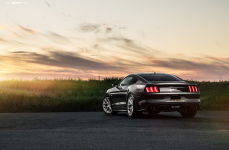 Ford Mustang GT на дисках Avant Garde M510