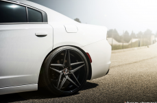 Dodge Charger на дисках Blaque Diamond BD-8